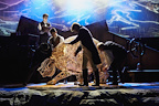 The Wider Earth gallery image