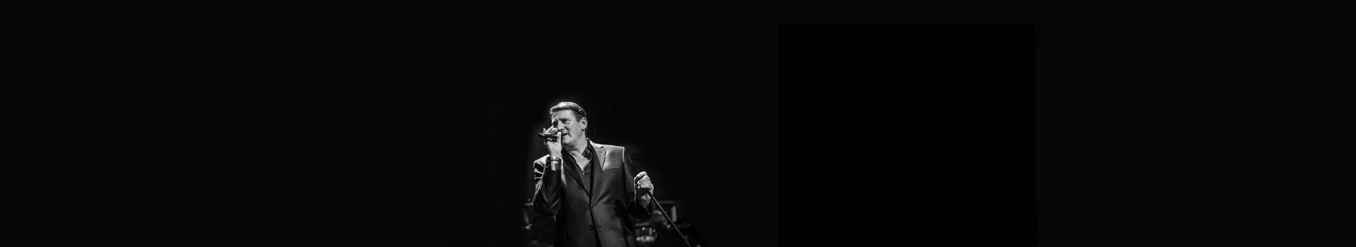 Tony Hadley banner image