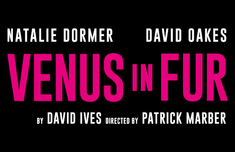 Venus in Fur in 250 words