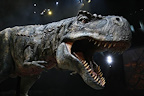 Cheap Tickets for Walking With Dinosaurs