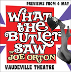 What The Butler Saw gallery image