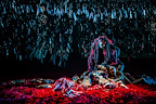 Yang Liping Contemporary Dance — Under Siege