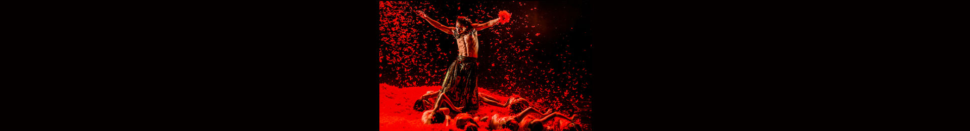Yang Liping Contemporary Dance — Under Siege tickets
