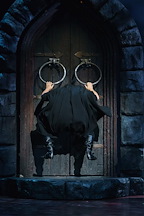 Young Frankenstein Gallery Images
