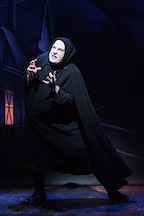 Young Frankenstein gallery image