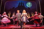 Young Frankenstein gallery image