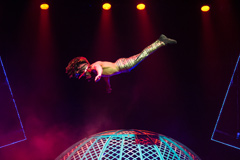 Zippos Presents Cirque Berserk!