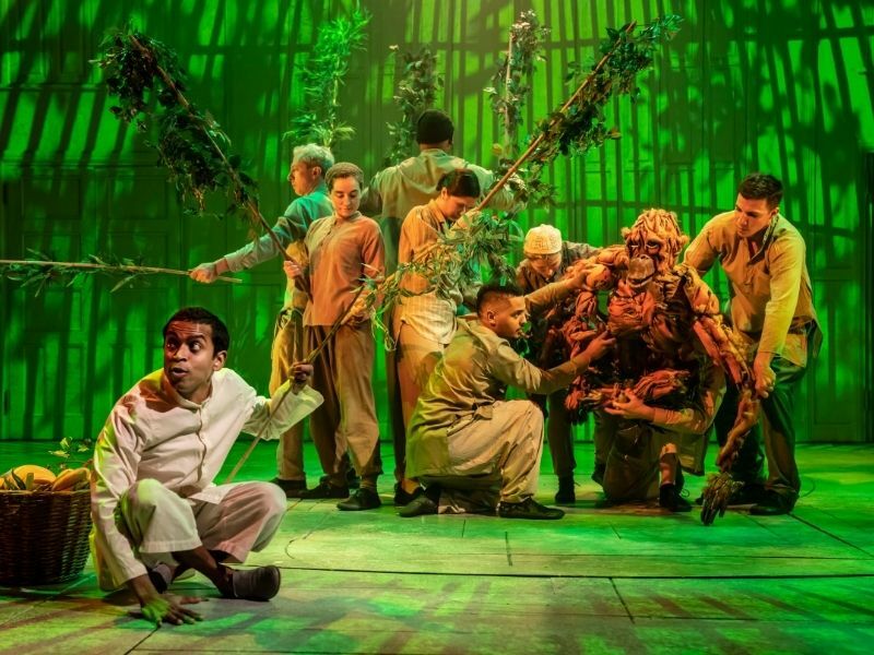 Life of Pi West End (Wyndham's Theatre) Production photography 