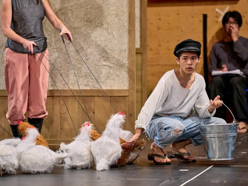 Image: a boy kneeled down holding a bucket, surrounded by fake chickens.