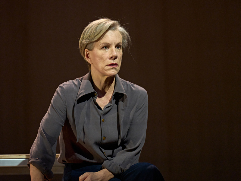 Juliet Stevenson (Ruth Wolff) staring intently into the distance. She is wearing a grey shirt.