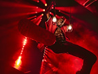 Magic Mike Live