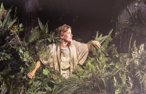 Into the Woods review: A show as pure as gold