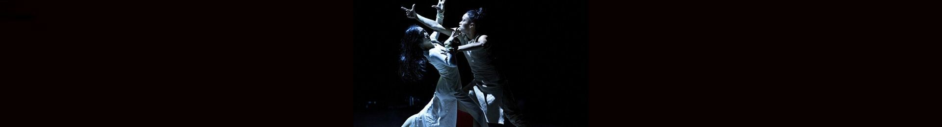 Akram Khan Company – Until the Lions banner image