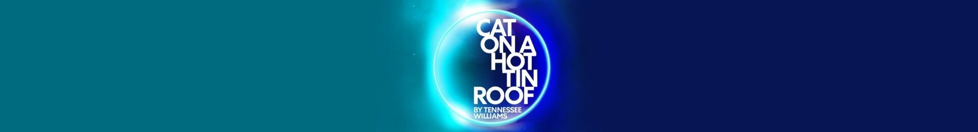 Cat On A Hot Tin Roof banner image