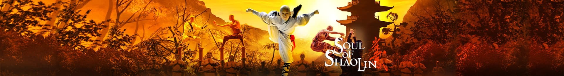 Soul of Shaolin banner image