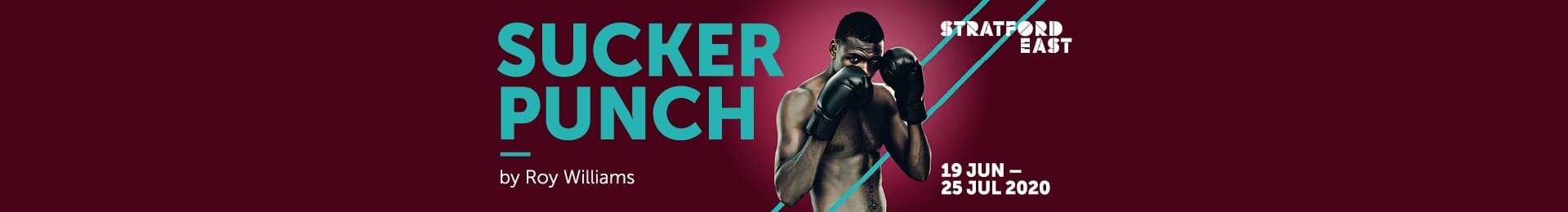Sucker Punch banner image