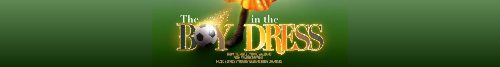 The Boy in the Dress banner image