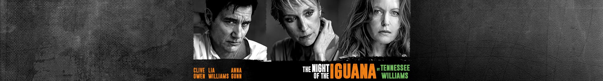 The Night of the Iguana banner image