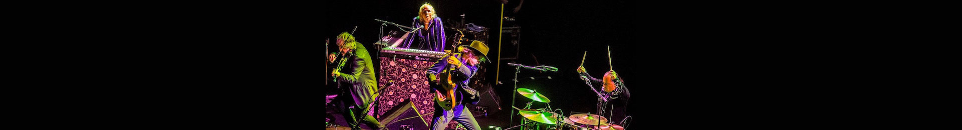 The Waterboys banner image